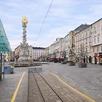 Modern Danube - 3 Min To Hauptplatz - Netflix Linz