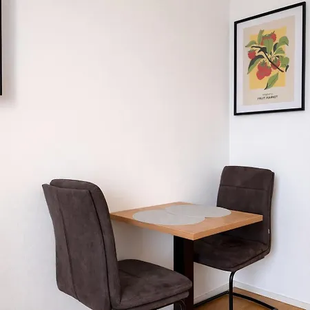 Modern Danube - 3 Min To Hauptplatz - Netflix * Linz